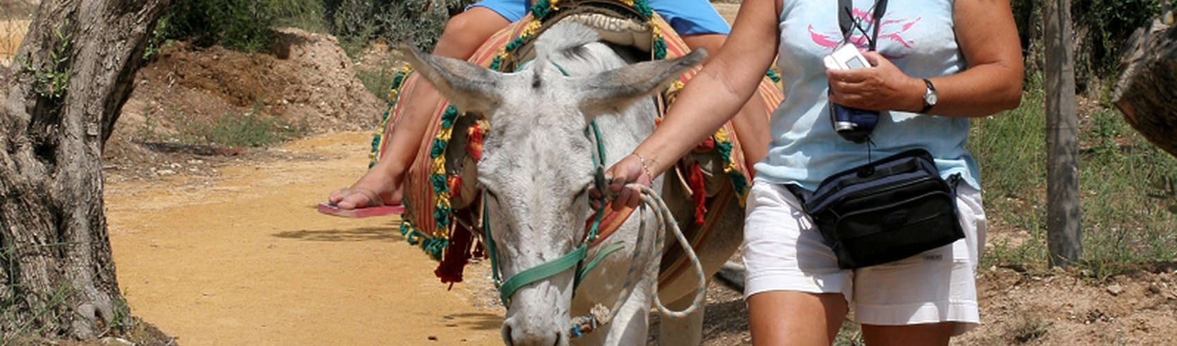 Magic Natura Animal, Waterpark Resort Benidorm Magic Natura Animal, Waterpark Resort Benidorm