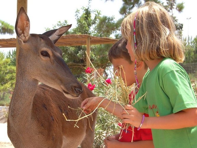 Interacción con animales Magic Natura Animal, Waterpark Resort Benidorm