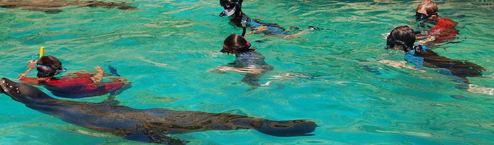 Magic Natura Animal, Waterpark Resort Benidorm Magic Natura Animal, Waterpark Resort Benidorm