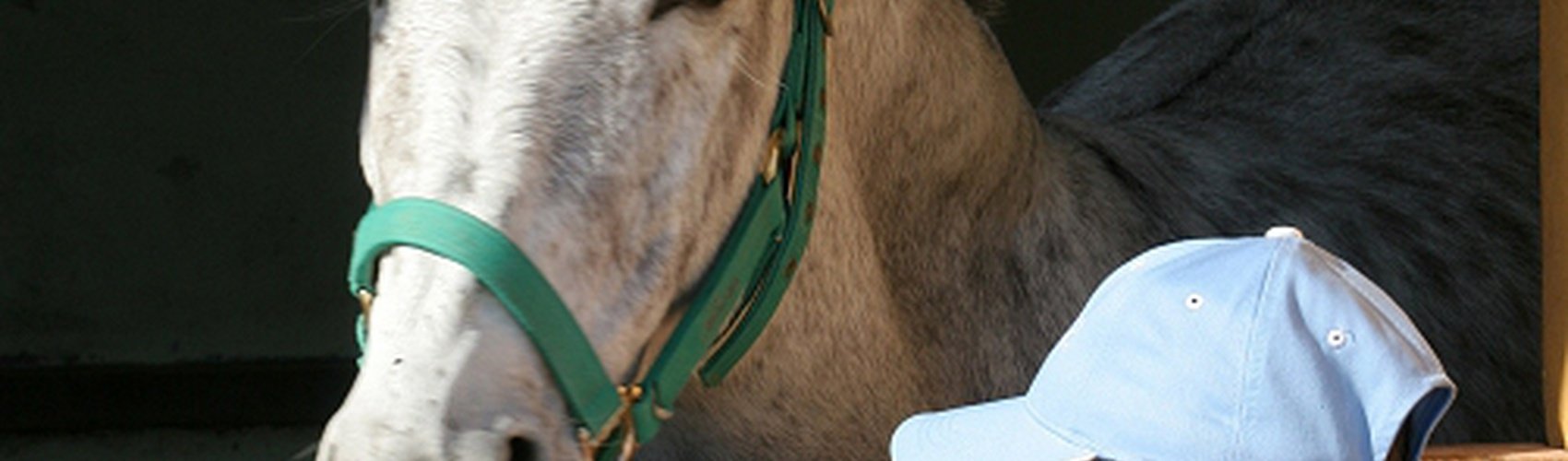 Magic Natura Animal, Waterpark Resort Benidorm Magic Natura Animal, Waterpark Resort Benidorm
