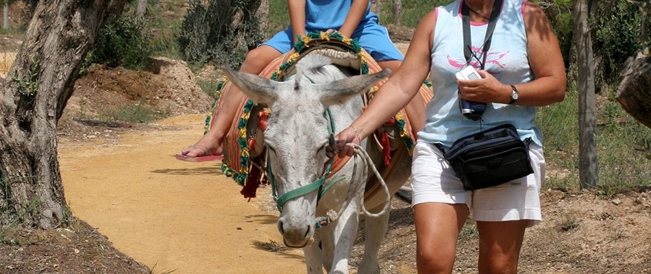 EXPERIENCIAS EN TERRA NATURA Magic Natura Animal, Waterpark Resort Benidorm EXPERIENCIAS EN TERRA NATURA Magic Natura Animal, Waterpark Resort Benidorm