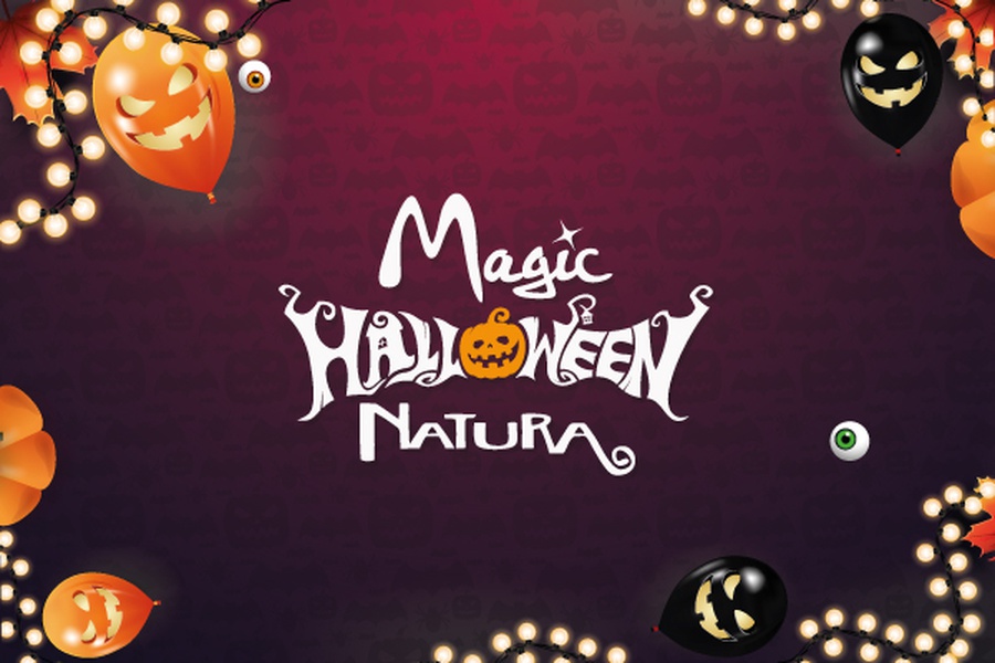 ¡Miedo, diversión y naturaleza! Reserva ya tus vacaciones para Halloween 2022 Magic Natura Animal, Waterpark Resort Benidorm