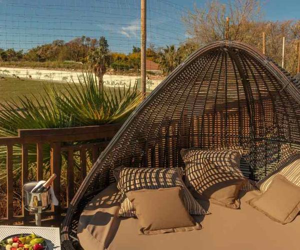 Magic Natura Animal, Waterpark Resort Benidorm Magic Natura Animal, Waterpark Resort Benidorm